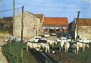 FR - - Limoges-Fourches__AIE